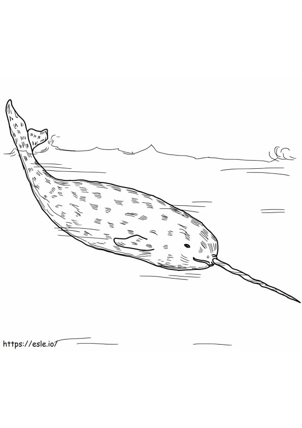 Narwhal Whales A4 coloring page