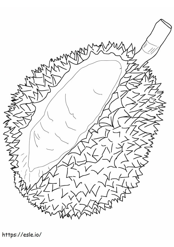 Toller Durian ausmalbilder