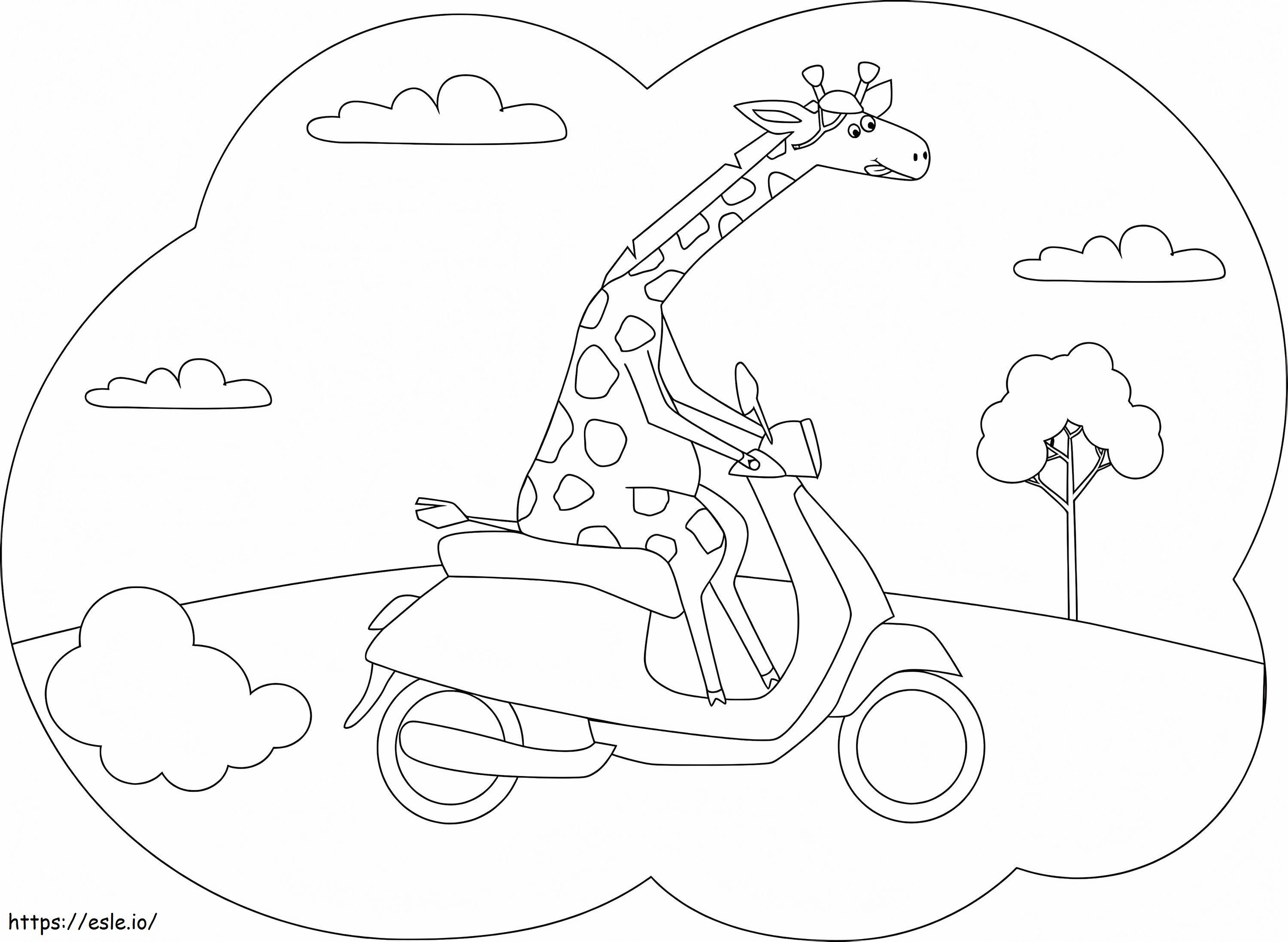 Girafă călare cu moto de colorat