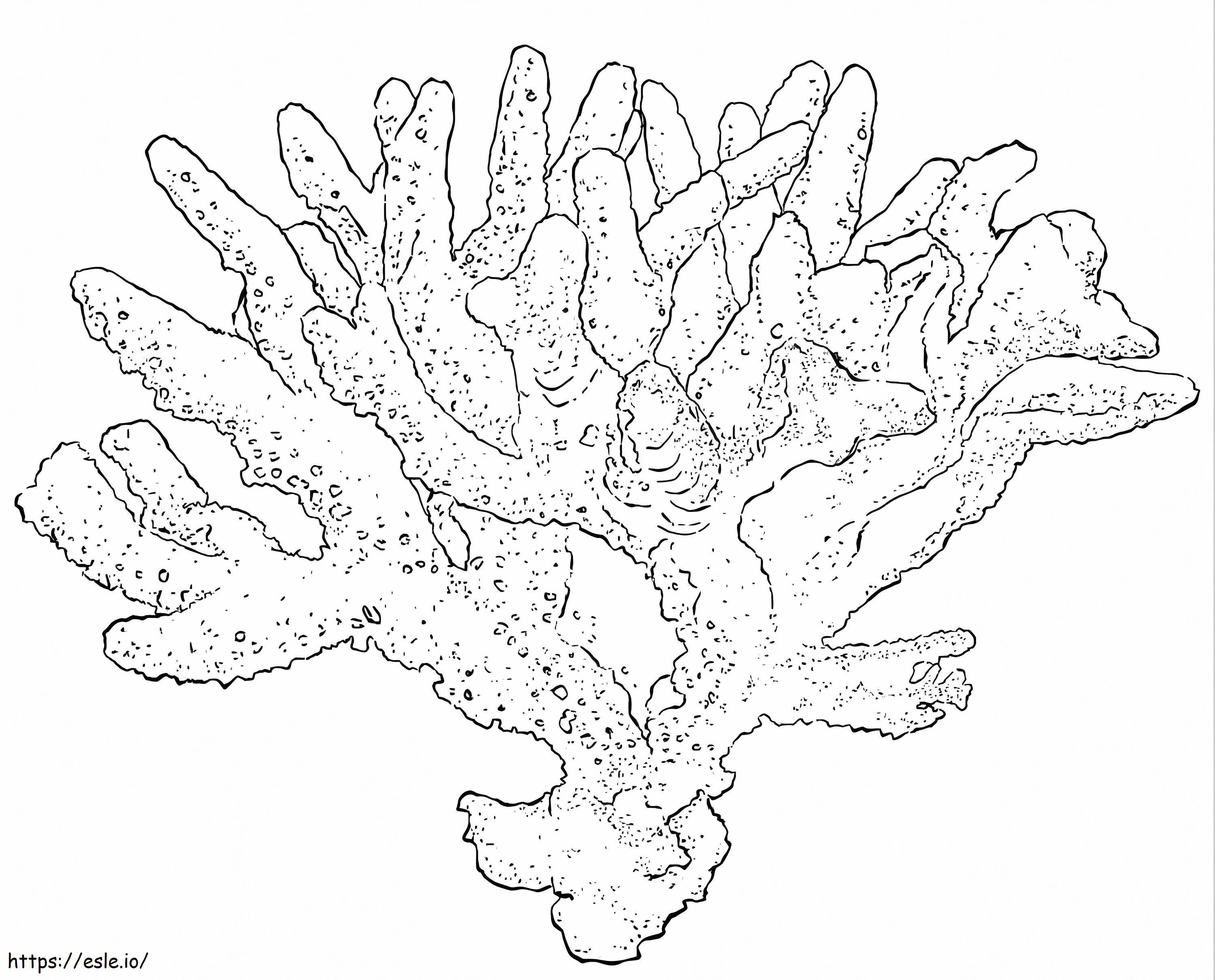 Coloriage Corail de nid d'oiseau à imprimer dessin