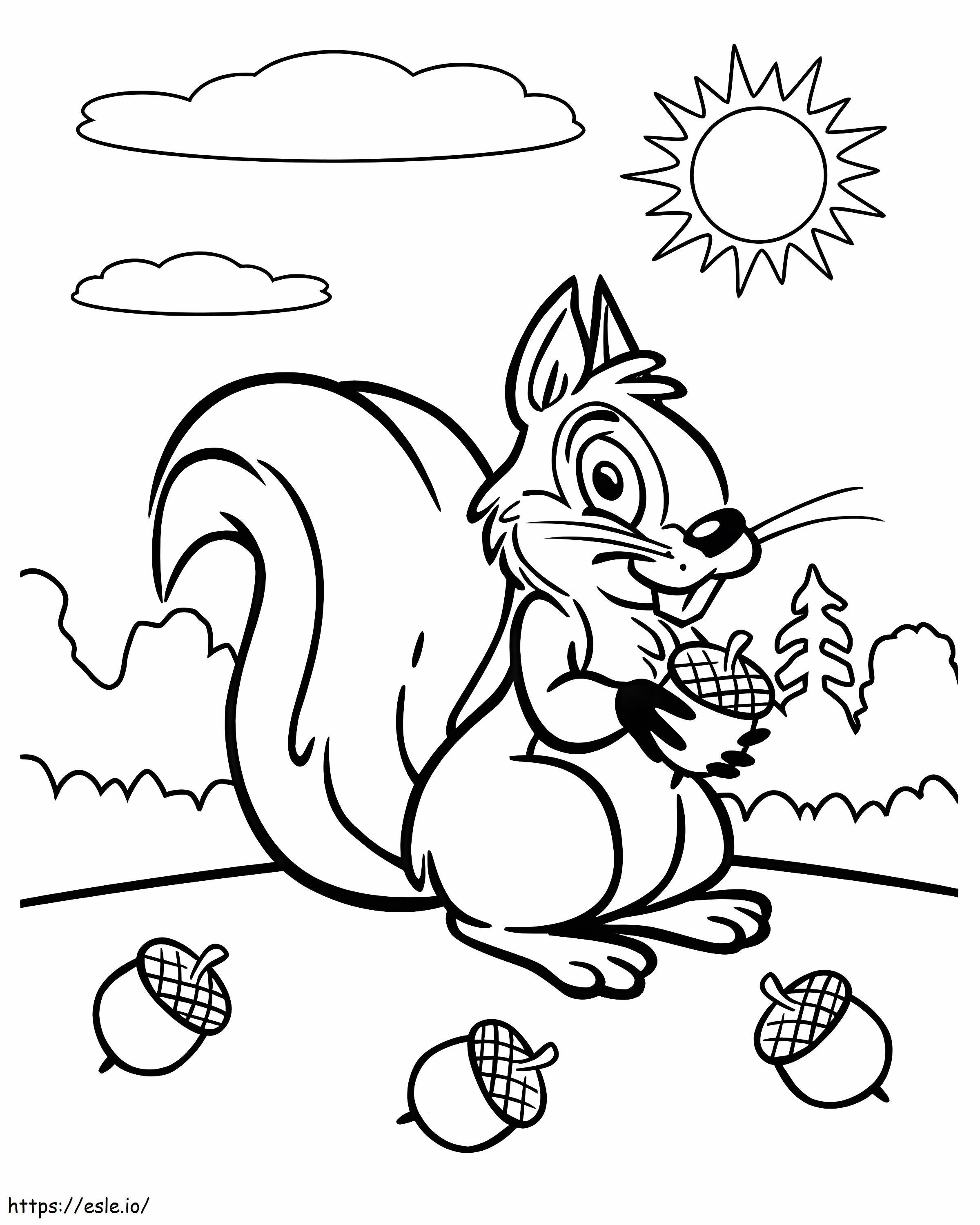 Squirrel And Acorns coloring page