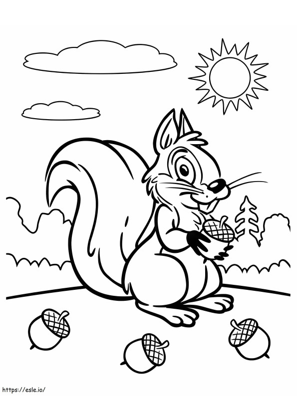 Squirrel And Acorns coloring page