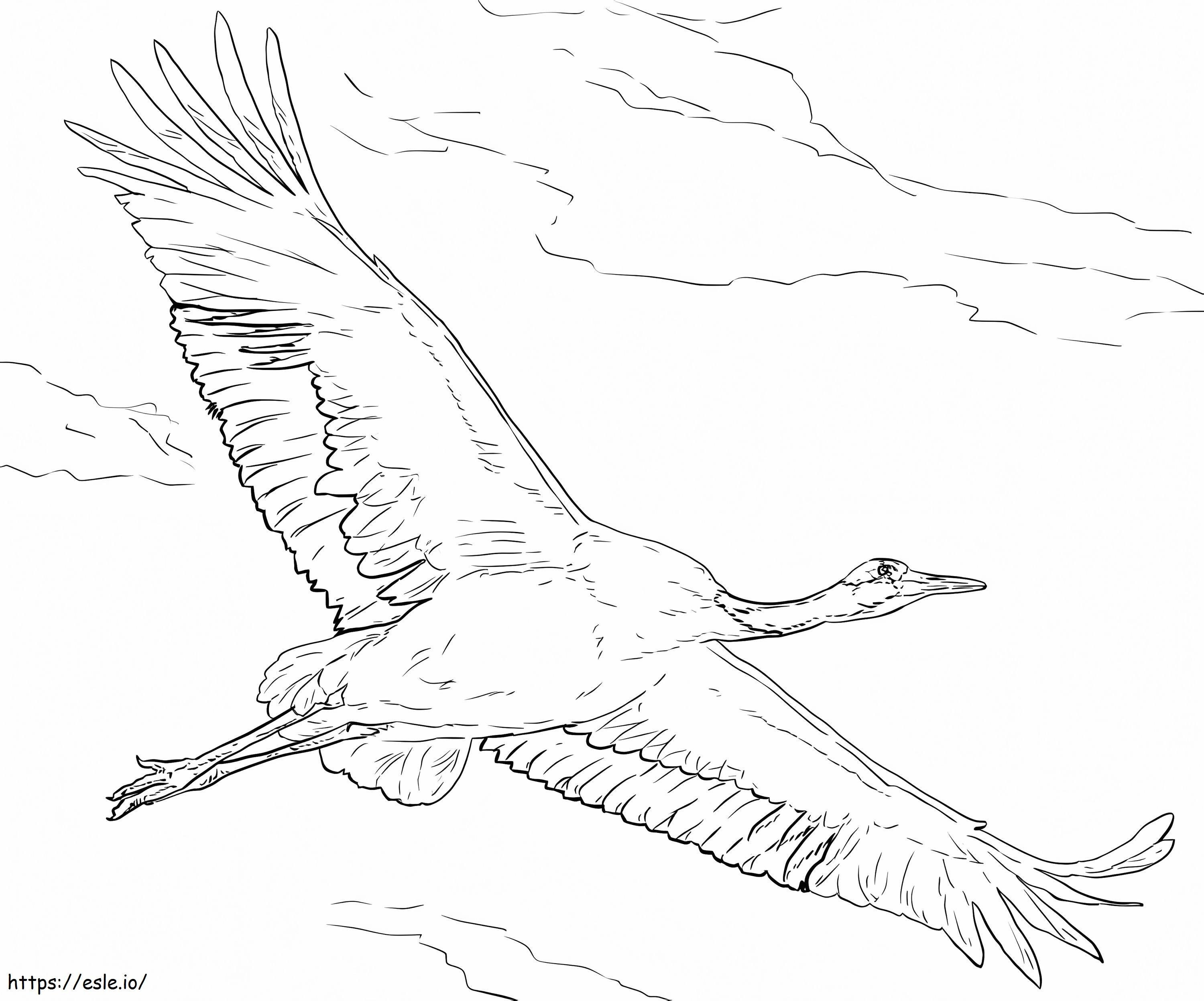 Red Crowned Crane coloring page