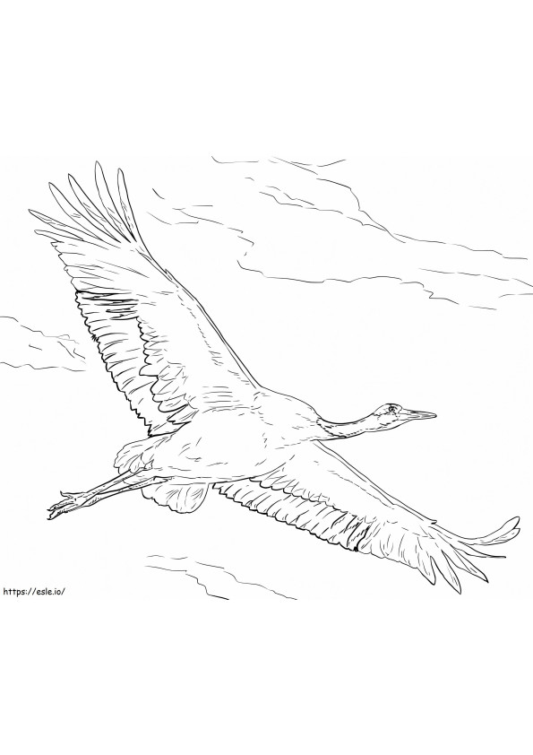 Red Crowned Crane coloring page