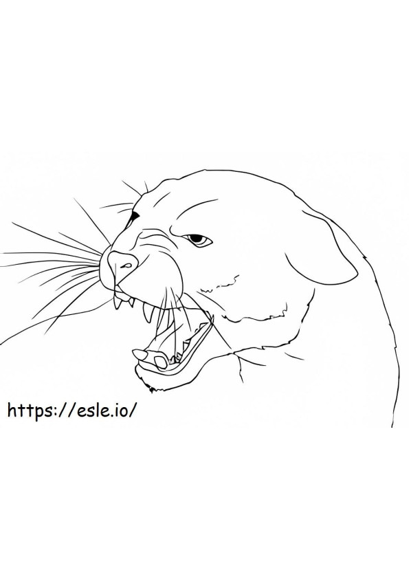 Angry Cougar Face coloring page