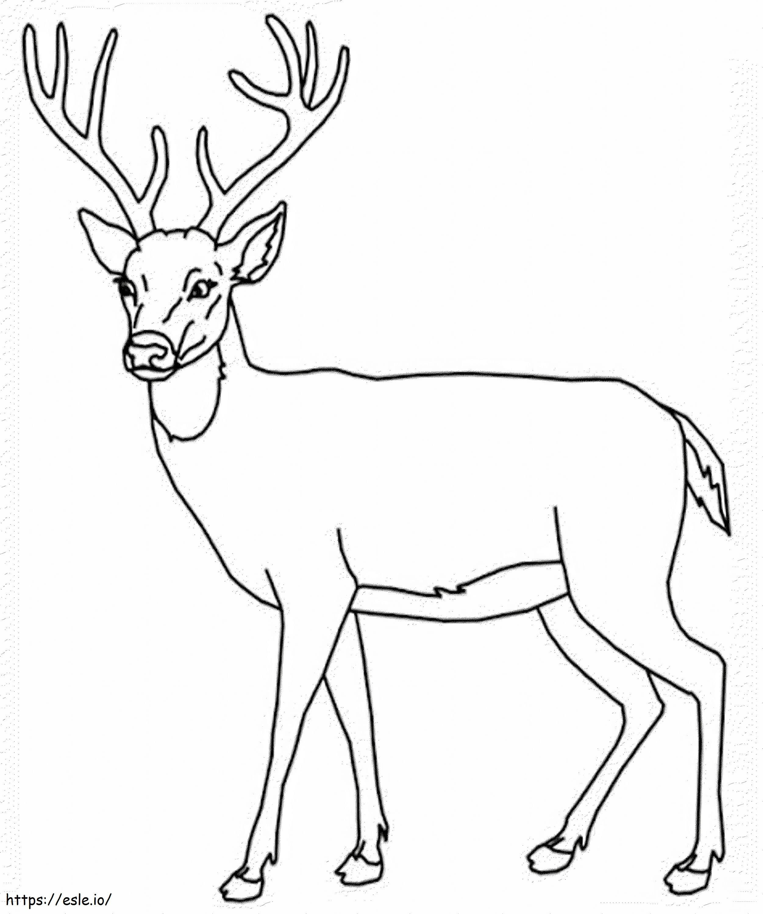 Awesome Deer coloring page