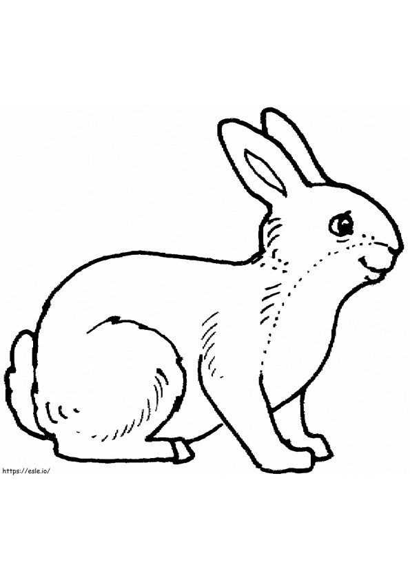 Happy Rabbit coloring page