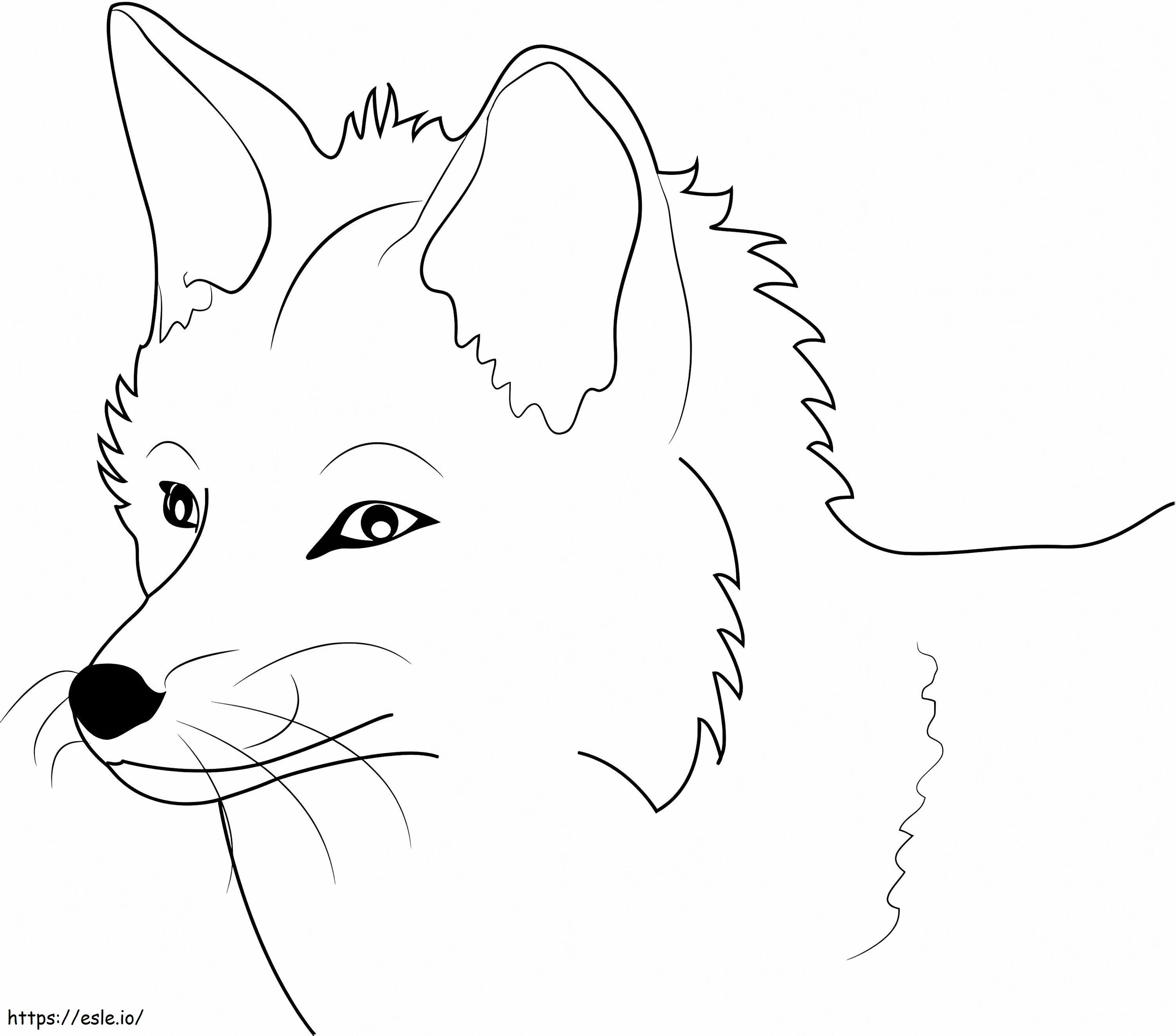 Foxs Face A4 para colorir
