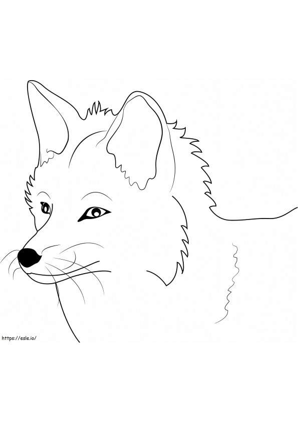  Foxs Face A4 para colorir