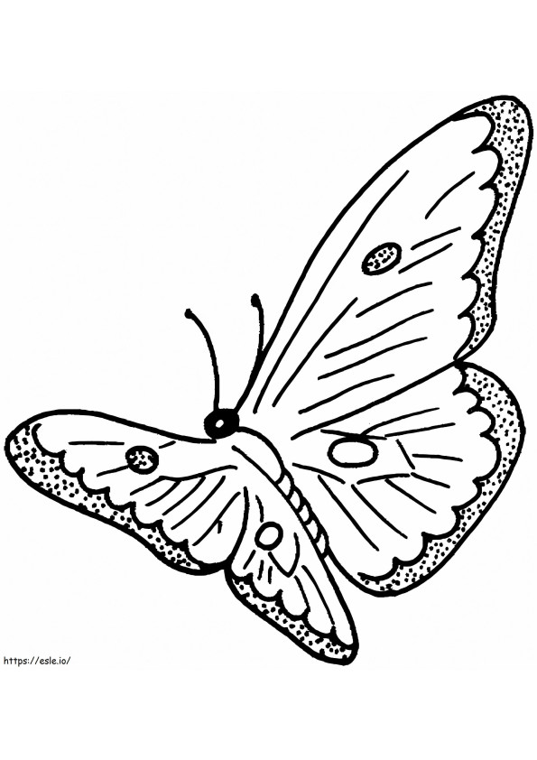 Motyl Lata kolorowanka