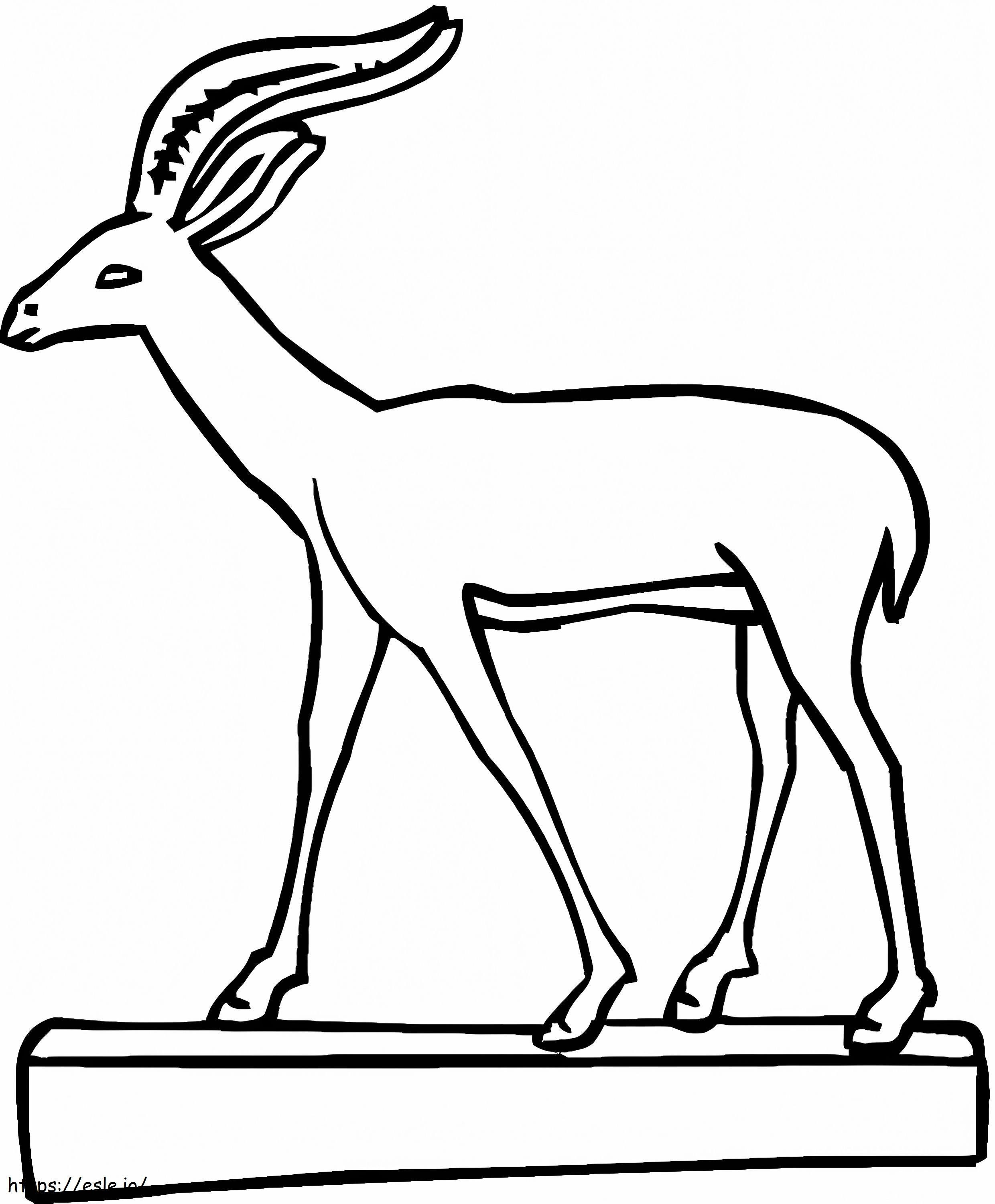 Een gewone gazelle kleurplaat kleurplaat