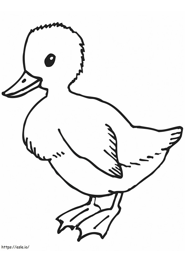 Cute Duckling coloring page