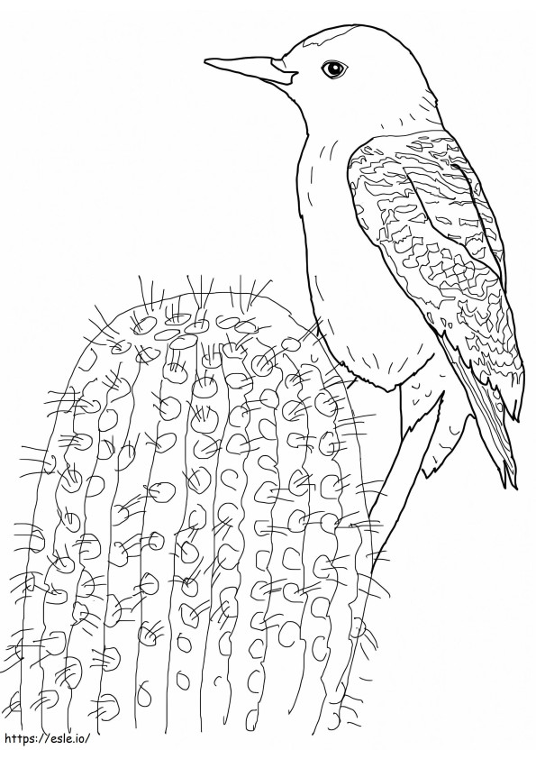 Gila Woodpecker coloring page