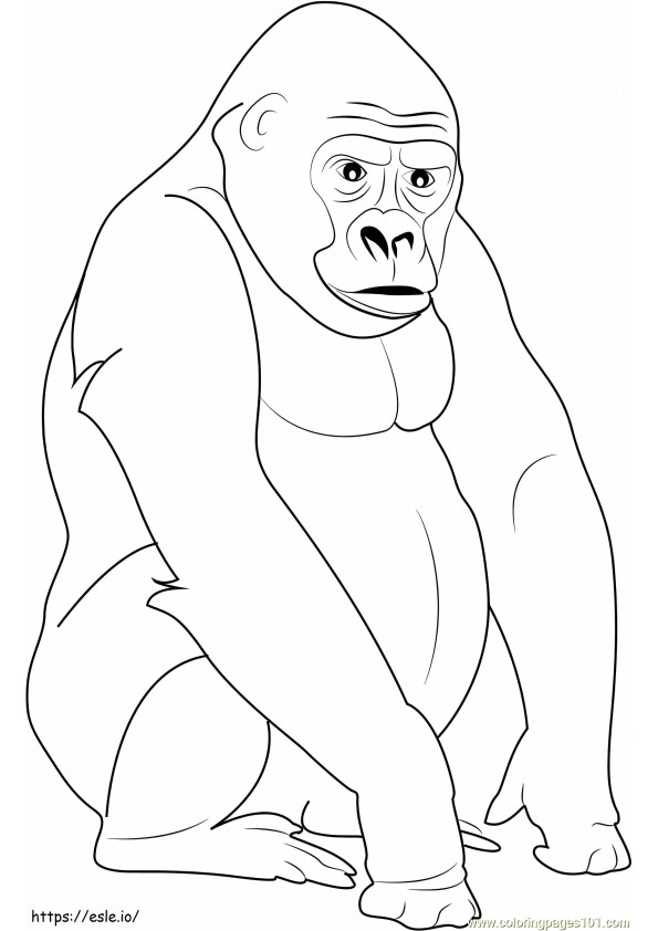 Hopeaselkäinen gorilla värityskuva