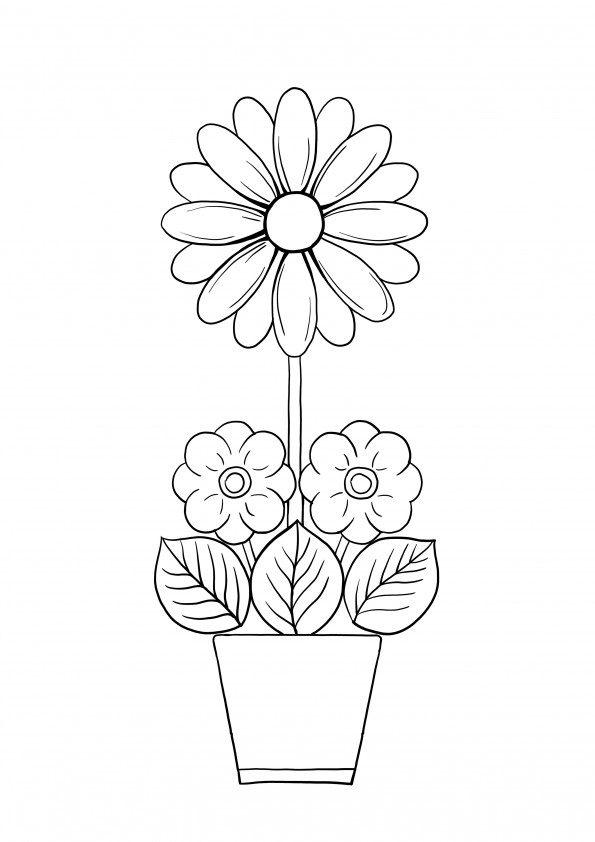 beautiful plant blossoming free printable