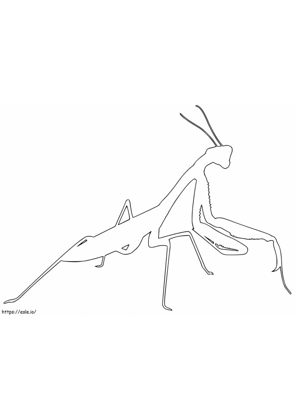 Contur de mantis rugător de colorat