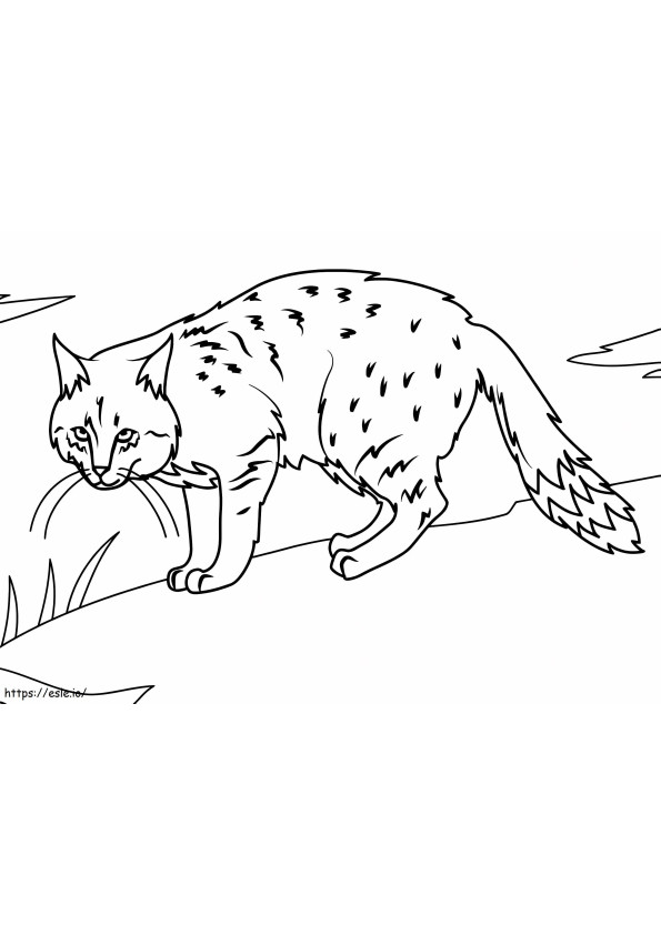 Chinese Mountain Cat coloring page