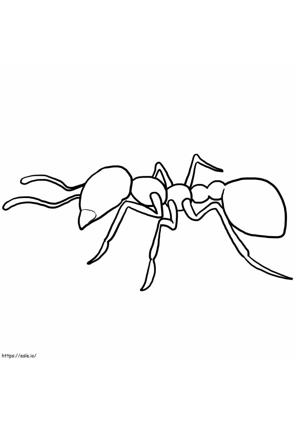 Coloriage Contour de fourmi à imprimer dessin