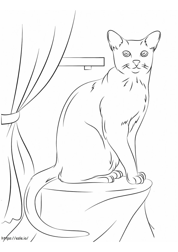 Cat On The Table coloring page