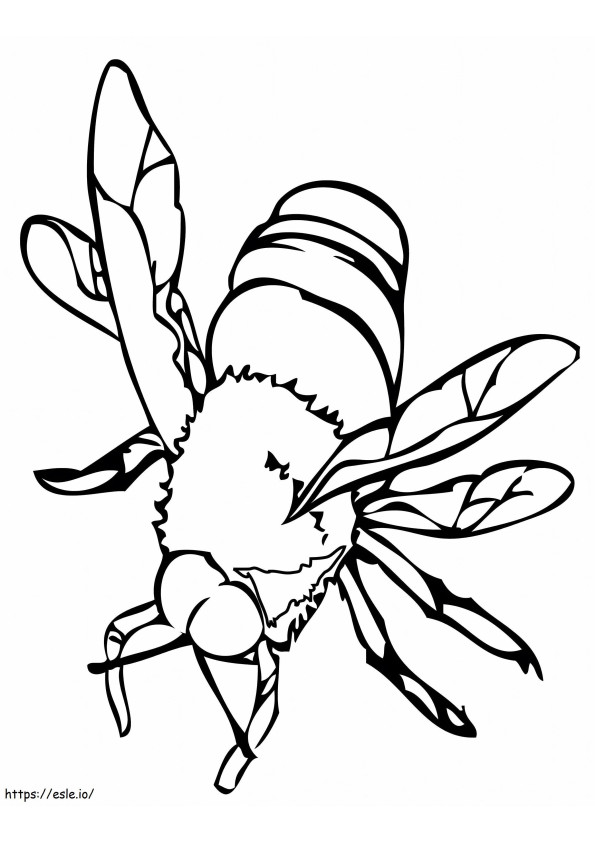 Lebah Gambar Mewarnai