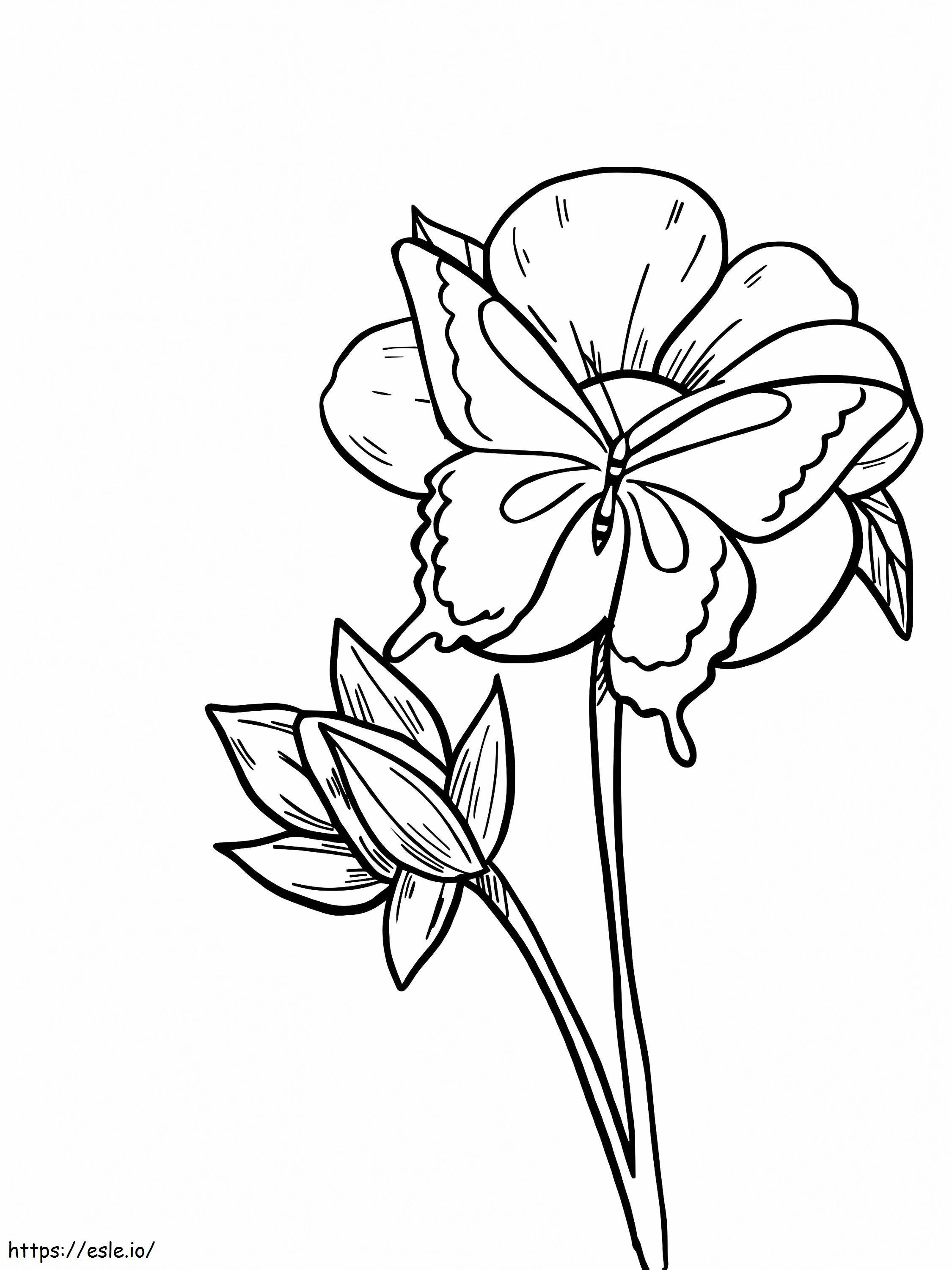 Borboleta em flor de açafrão para colorir