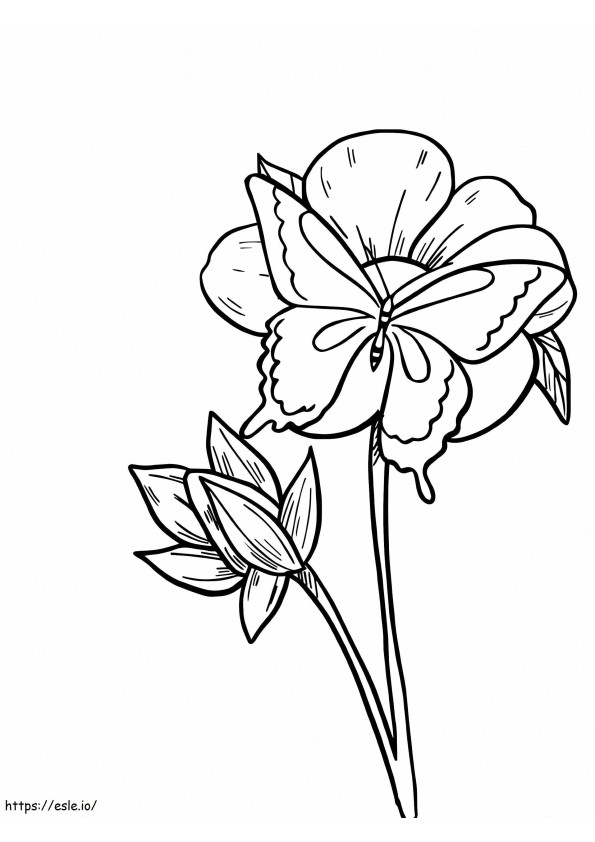Borboleta em flor de açafrão para colorir