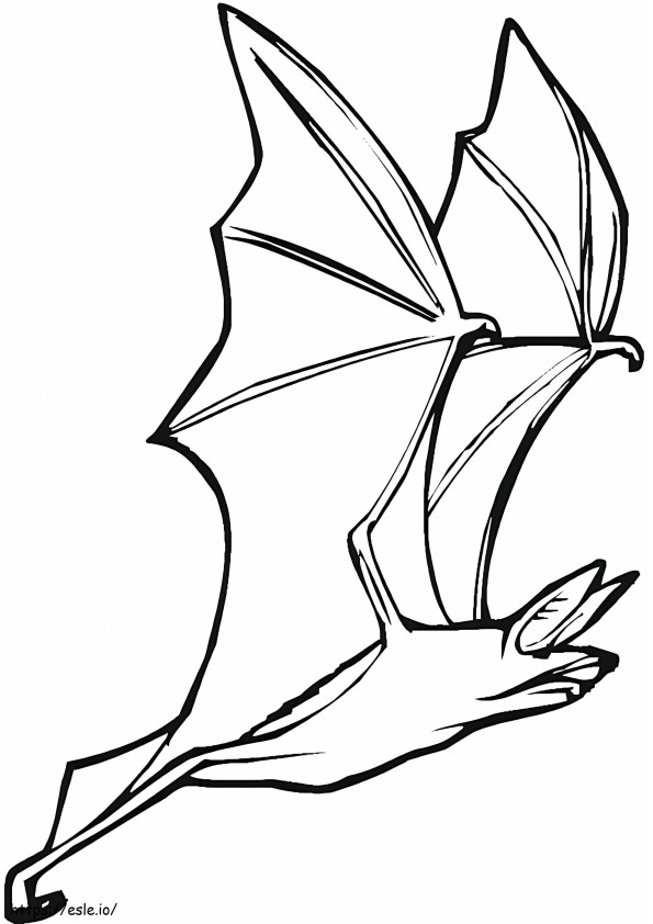 morcego está voando para colorir