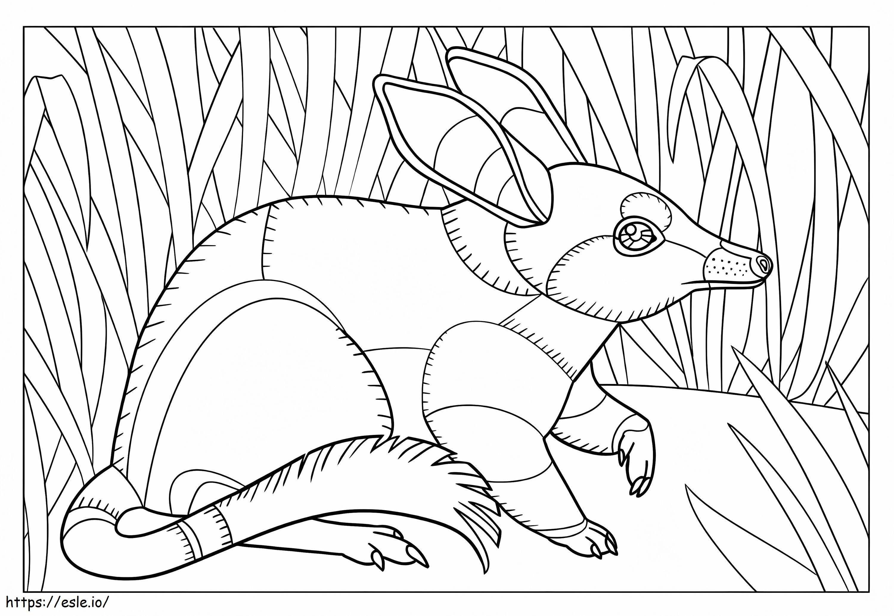 Abstract Bilby coloring page