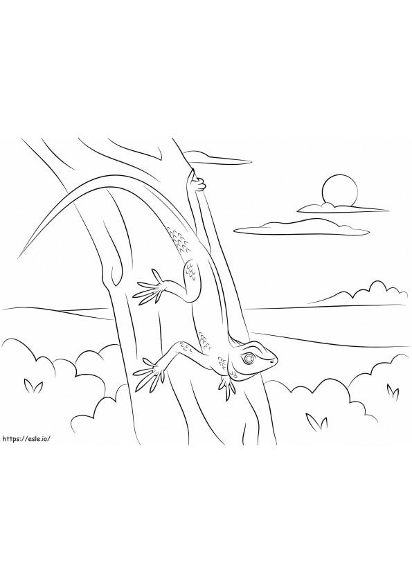Gecko On A Tree coloring page