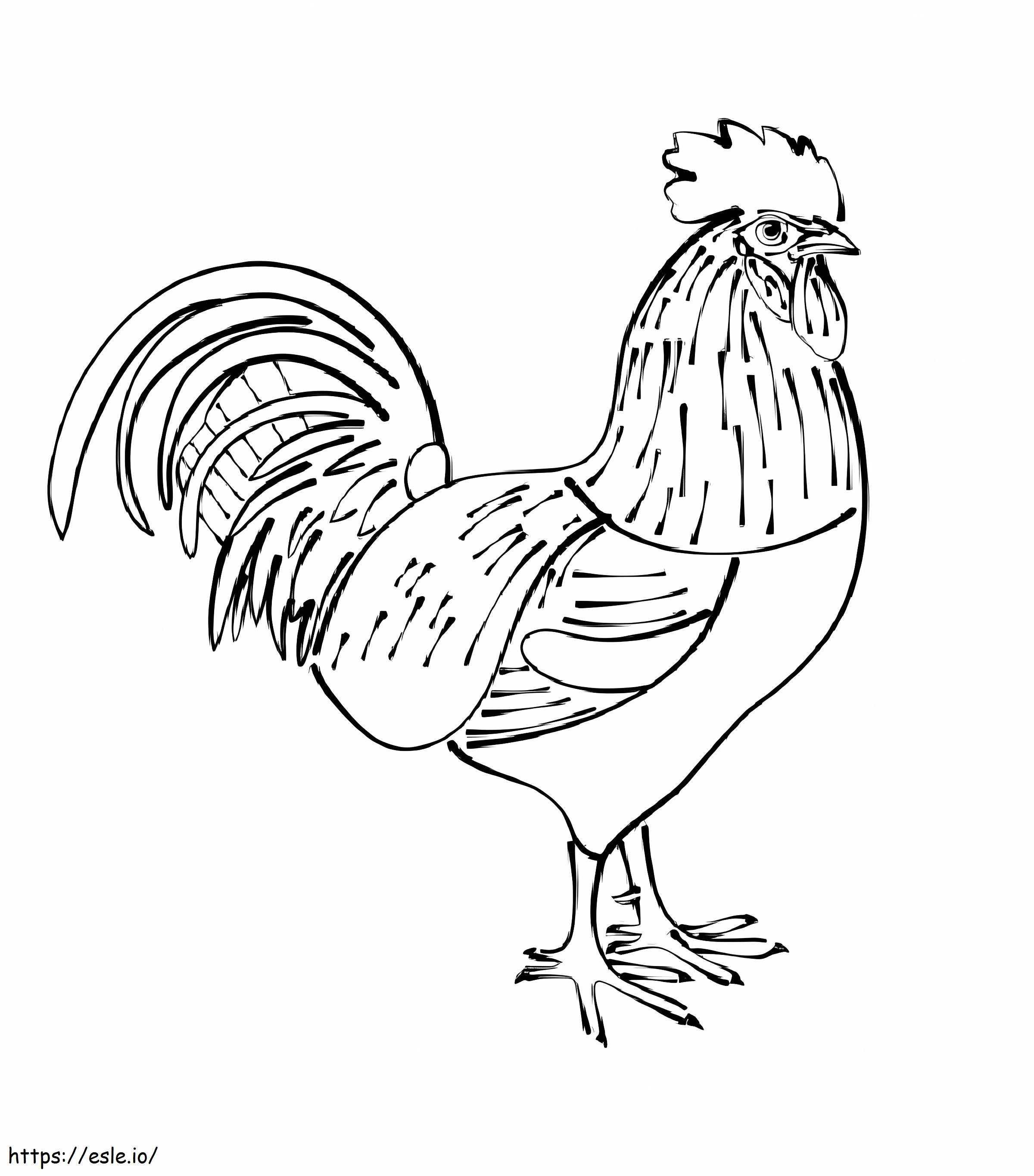 Ayam jago Gambar Mewarnai
