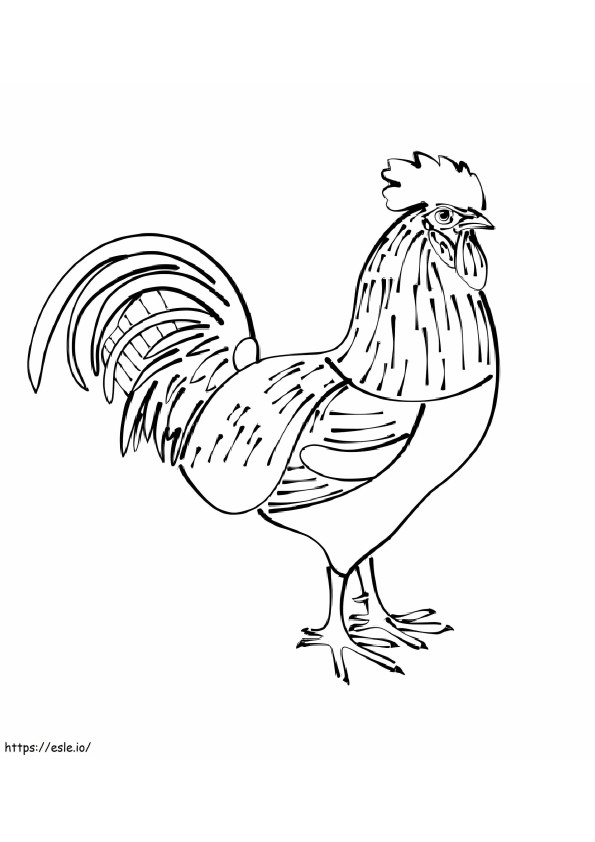 Good Rooster coloring page