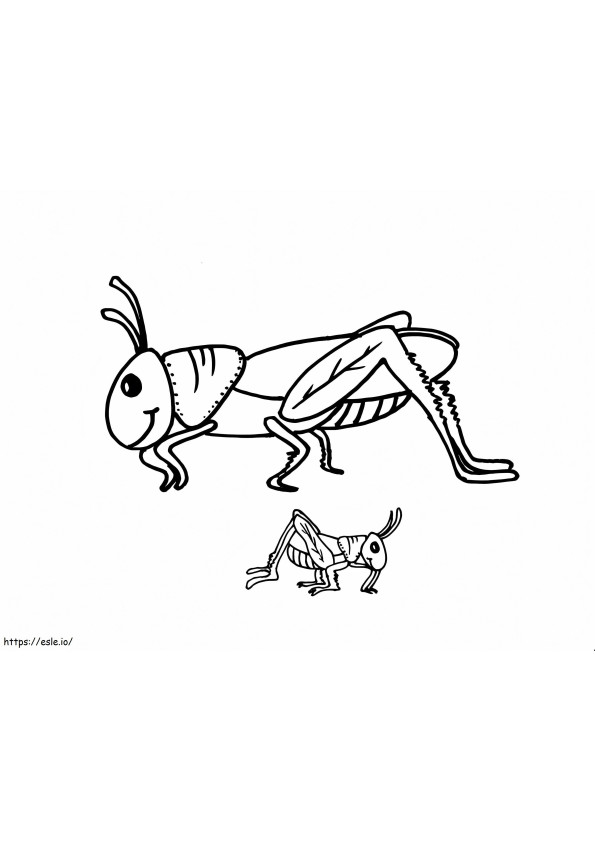 Two Grasshoppers coloring page