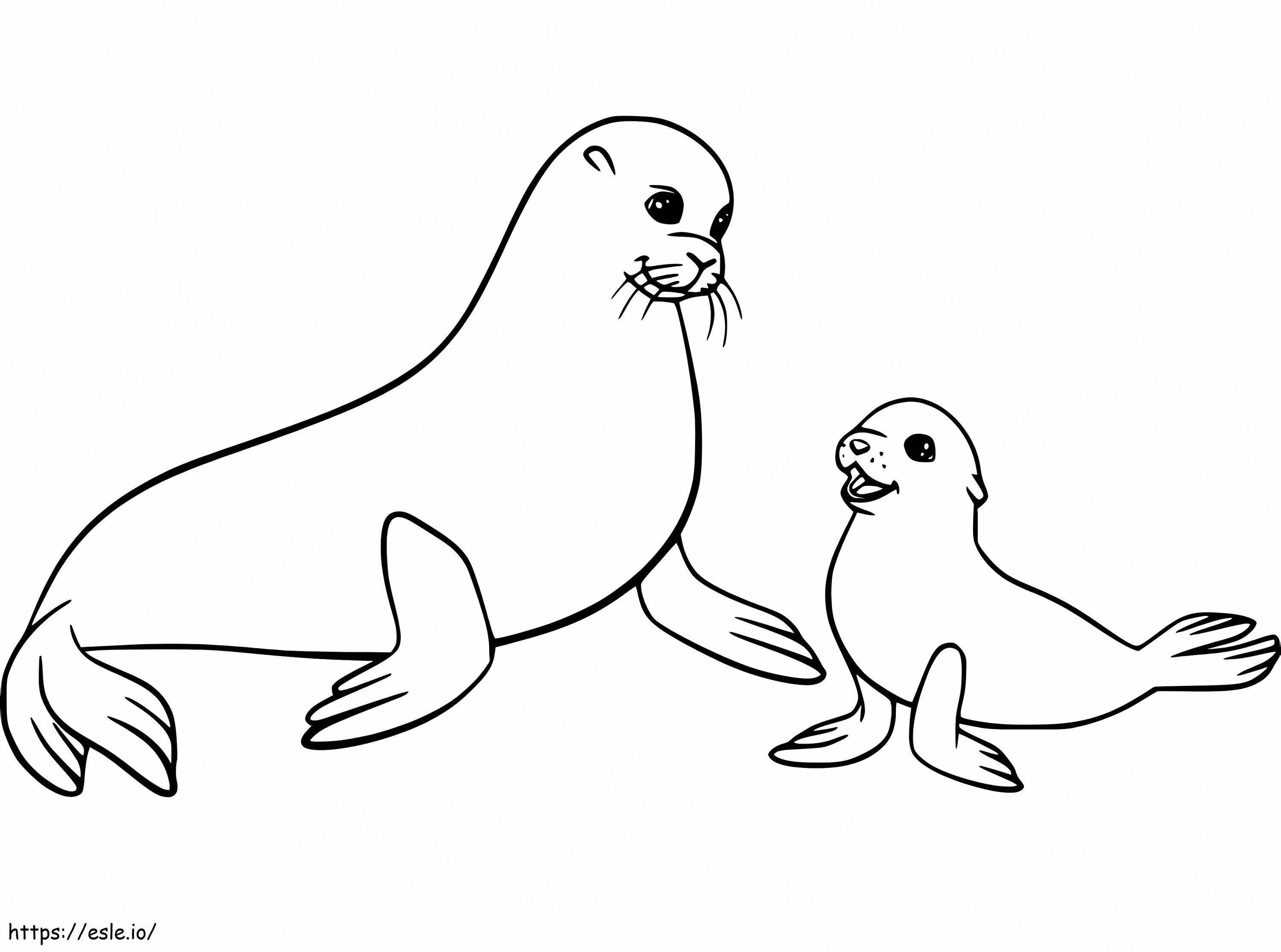 Anne Ve Yavru Deniz Aslanları boyama