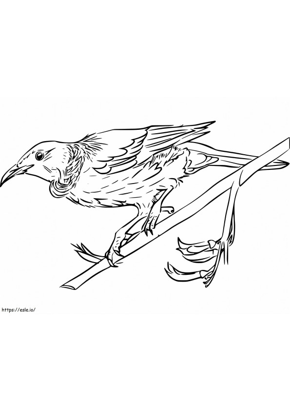 Coloriage Kookaburra pailleté à imprimer dessin