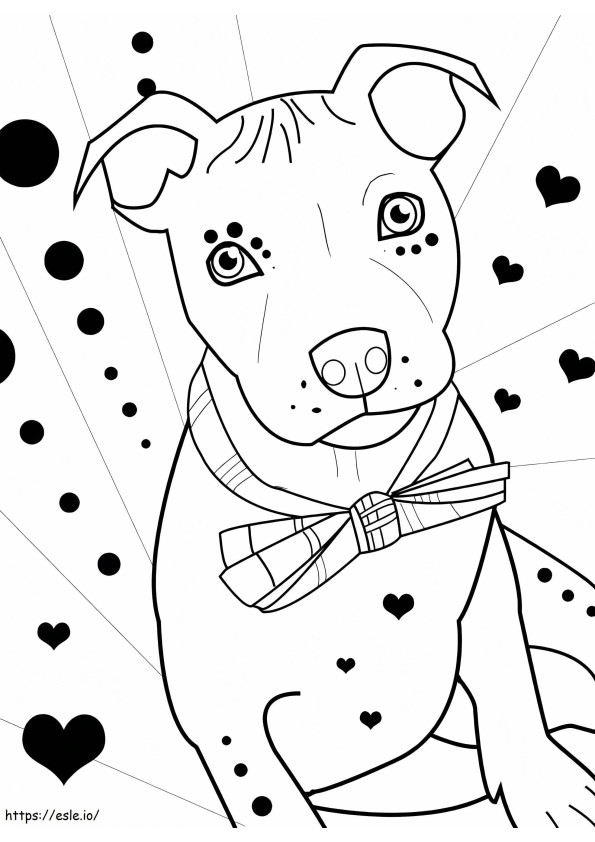 Adorable Pitbull coloring page