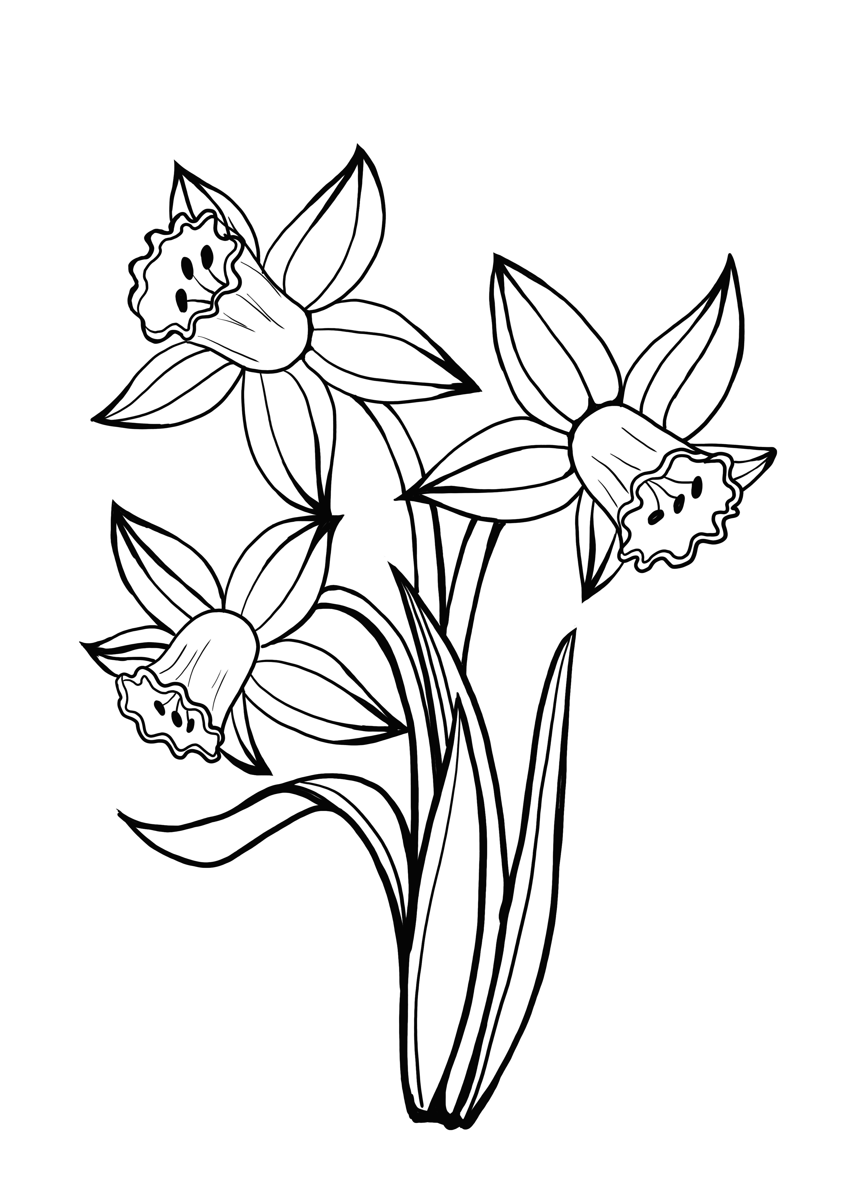 halaman mewarnai daffodil yang dapat dicetak gratis