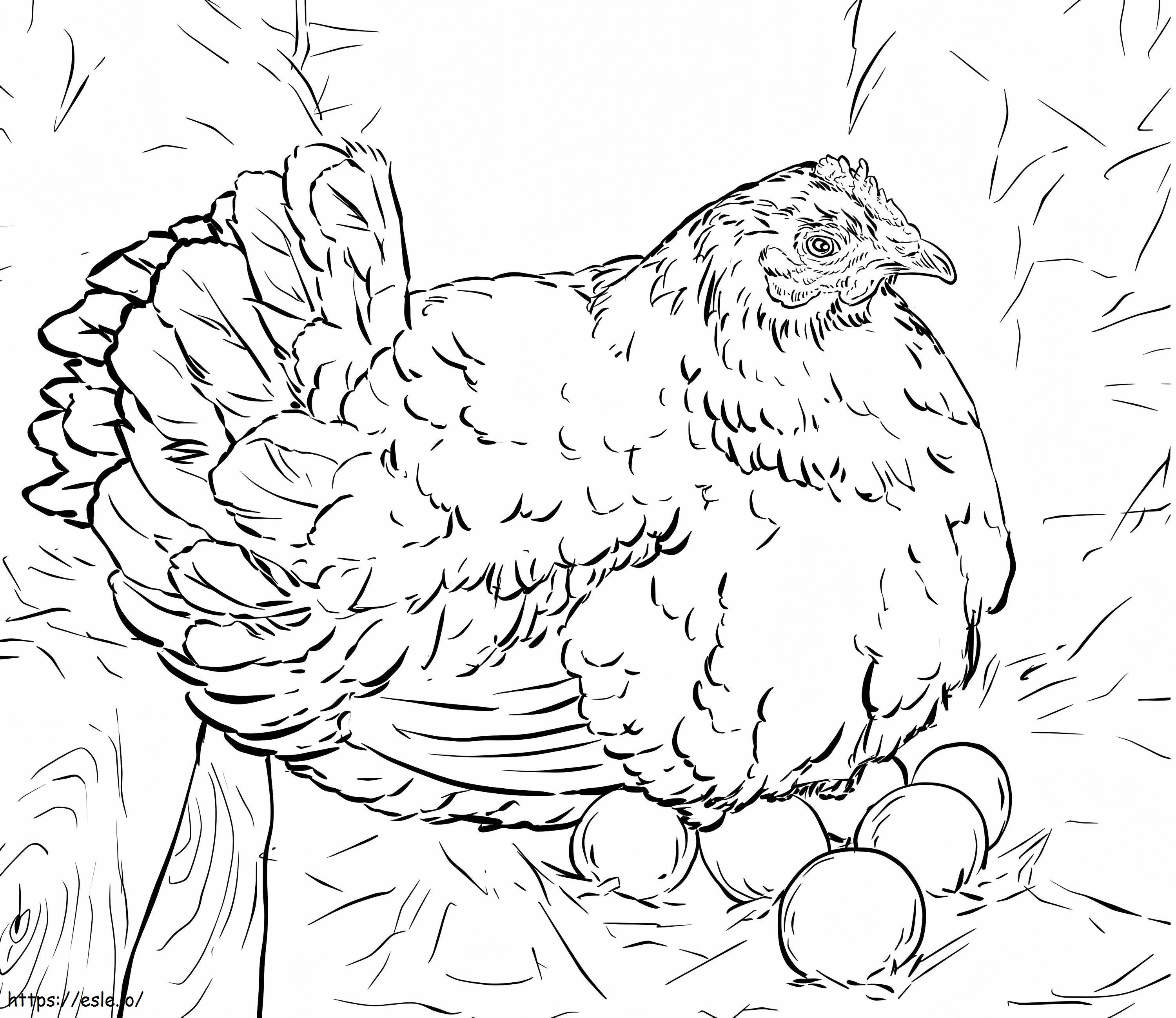 Hen Laying Eggs coloring page