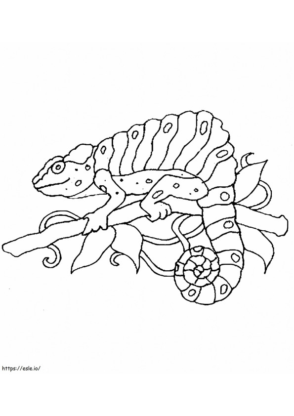 Marvelous Chameleon coloring page