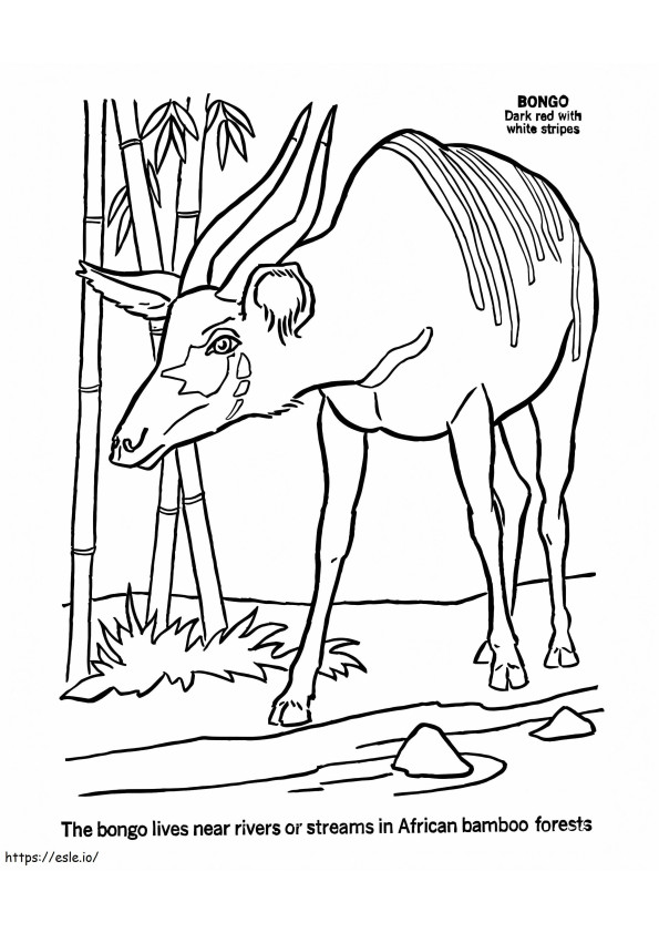 African Bongo coloring page