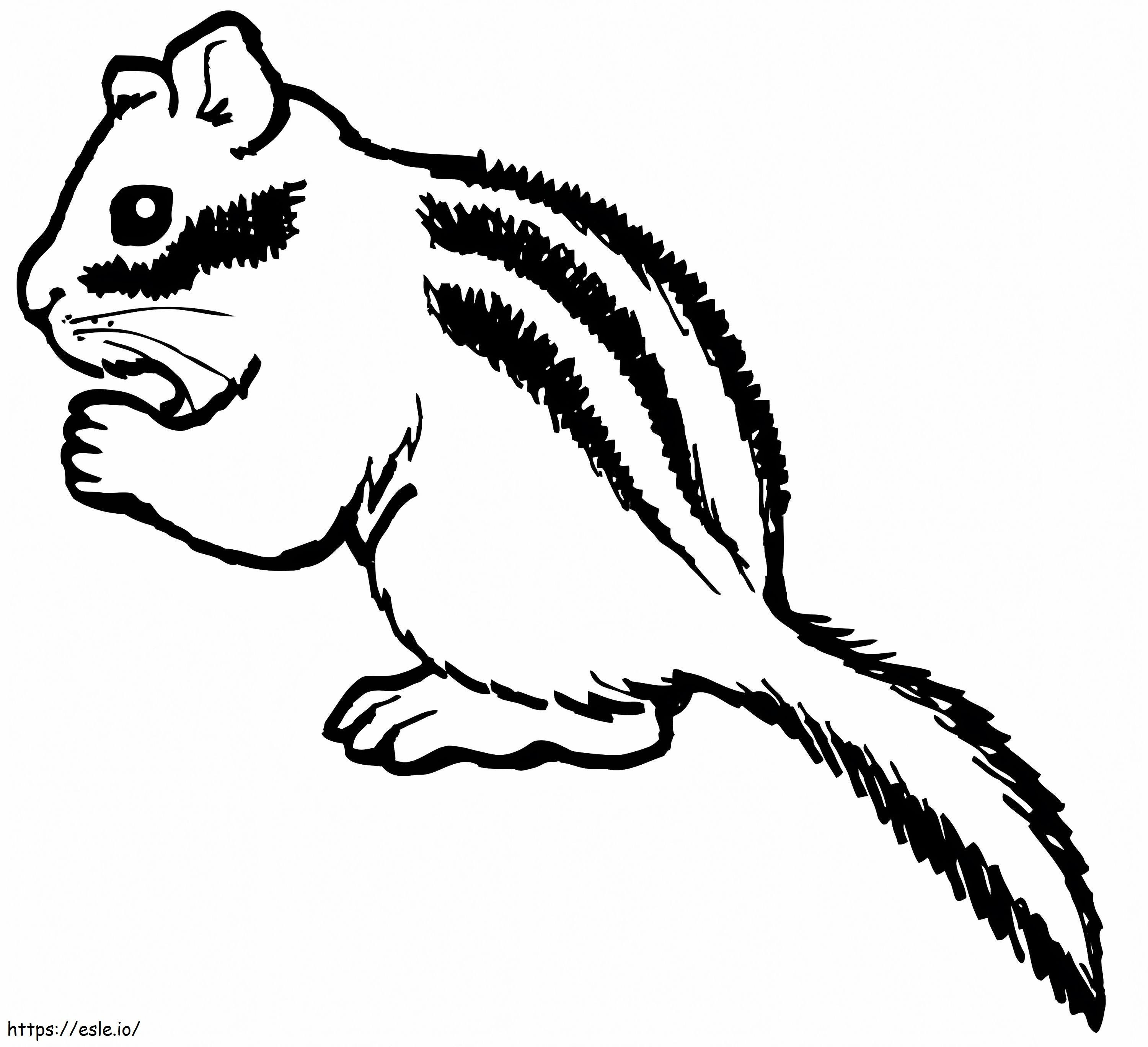 Coloriage Chipmunk mange des noix à imprimer dessin
