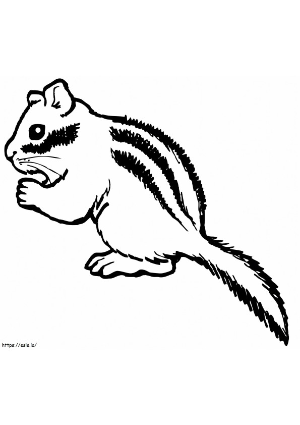 Coloriage Chipmunk mange des noix à imprimer dessin