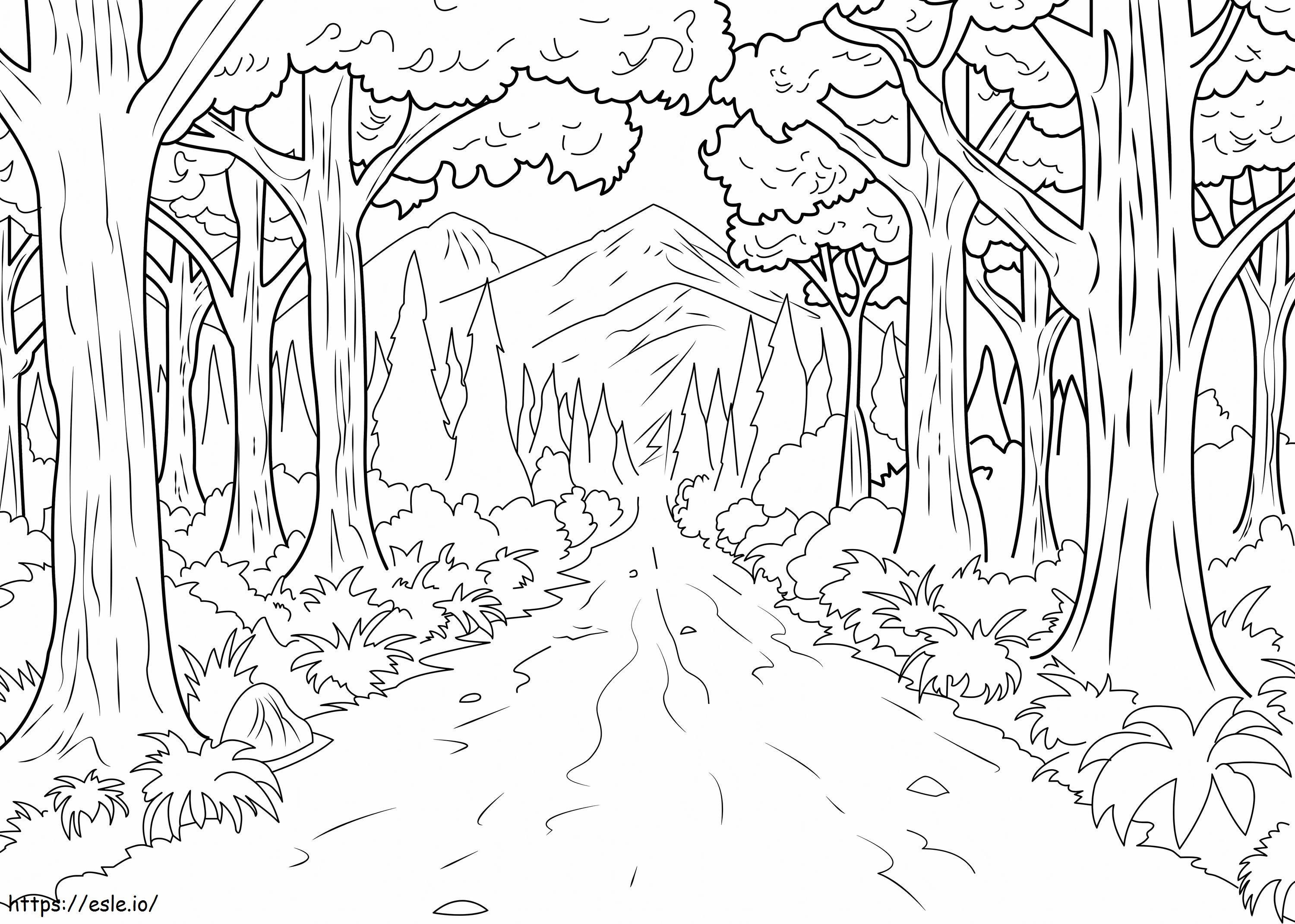 Nature Path In The Forest coloring page