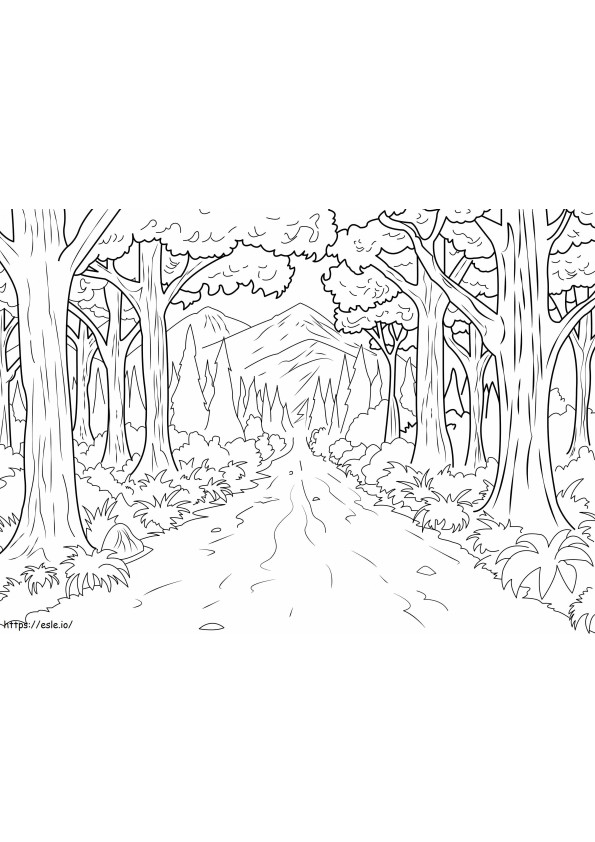 Natura ścieżka W Lesie kolorowanka