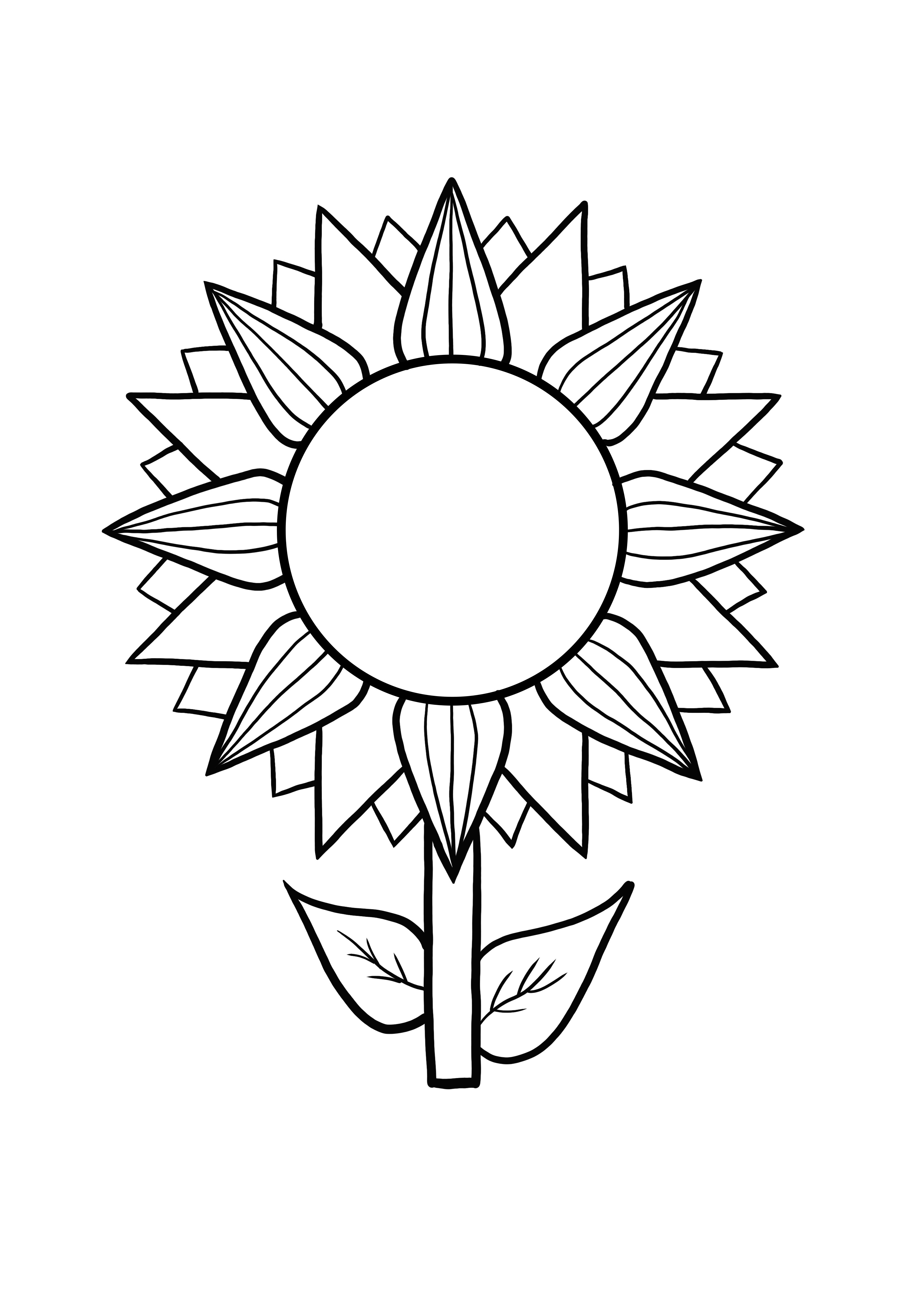 sunflower to color and free printing