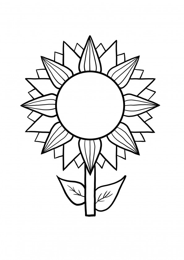 sunflower to color and free printing