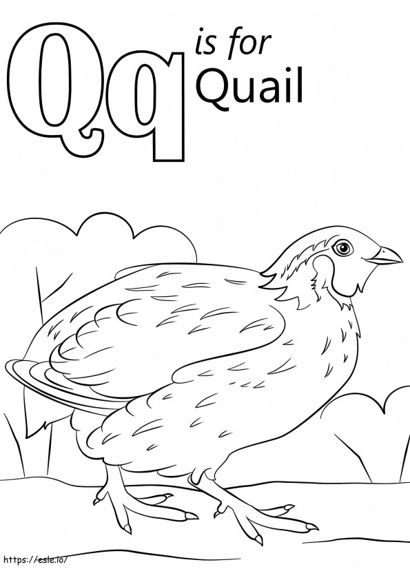 Quail Letter Q coloring page