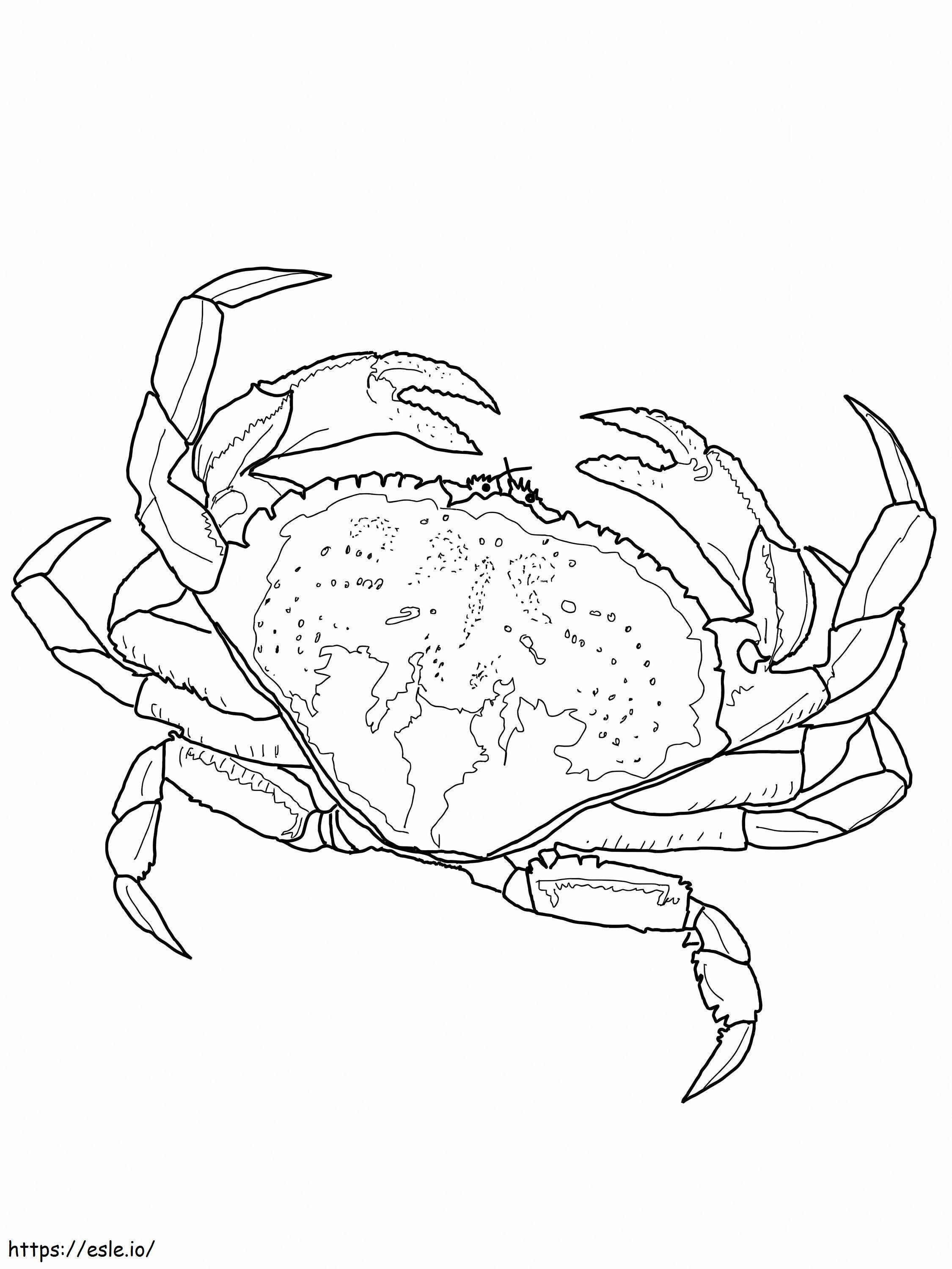 Awesome Crab coloring page