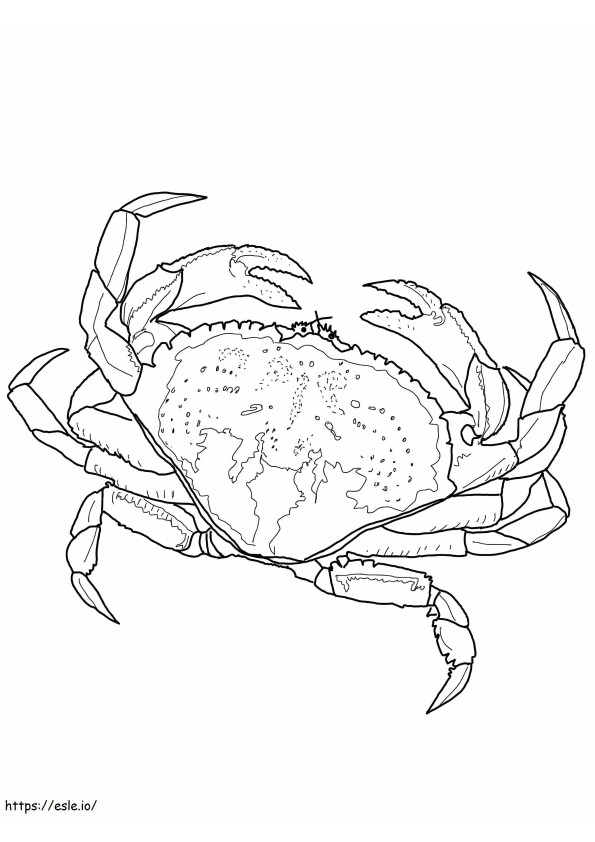 Coloriage Crabe génial à imprimer dessin