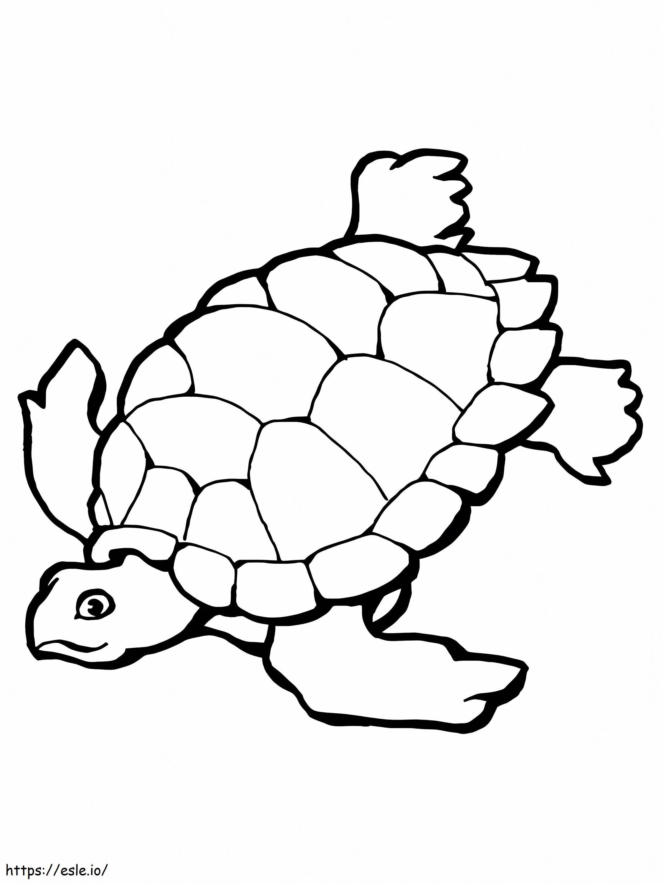 Yüzen Deniz Kaplumbağası boyama