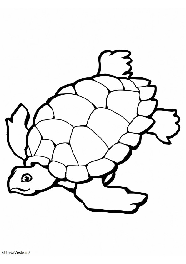 Zwemmende zeeschildpad kleurplaat